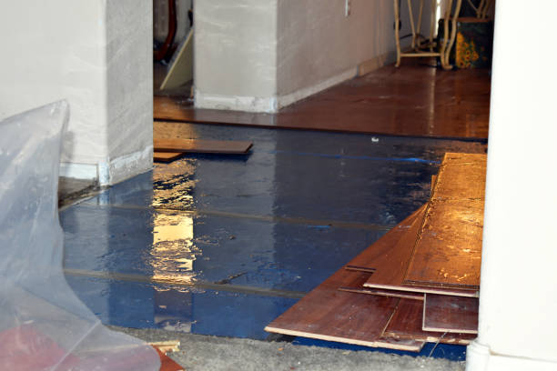 Professional Water Damage Restoration technician working in Vauxhall, NJ